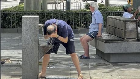 La ola de calor se intensifica en Málaga: aviso naranja en Antequera y Ronda y máximas de 42 grados