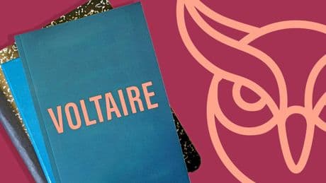 Pourquoi dit-on qu’il faut « cultiver notre jardin » ?