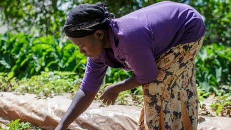 Kenianische Bäuerin gewinnt Constructive World Award, ihr Land feiert die Heldin