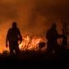 Watch: Never seen anything like this' - wildfires burn across southern Europe