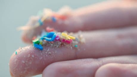 Umwelt: Mikroplastik und Kunststoffe: Wie schädlich sind sie für die Gesundheit?