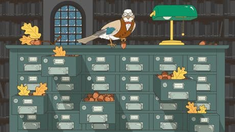 The Elephantine Memories of Food-Caching Birds