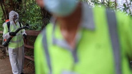 Chikungunya : en proie à une importante épidémie, la Chine sort les grands moyens
