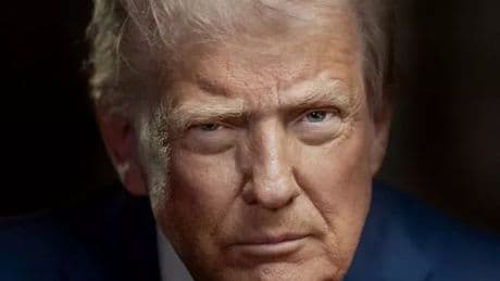 Donald Trump’s new official portrait looks like his arrest mug shot