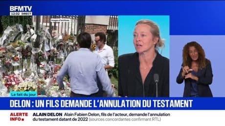 Succession d'Alain Delon: son fils Alain-Fabien demande l'annulation du testament
