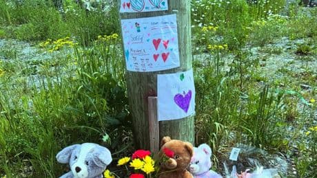 ‘His loss is immeasurable,’ family says after 3-year-old boy struck, killed by vehicle