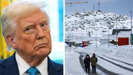 Donald Trump shows true colours with 3-word response as he is asked about 'expanding' US