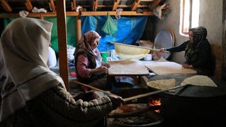 Zor zamanların ekmeği, Anadolu’nun yokluk mucizesi! 15 gün kurutuluyor, undan ekmeğe dönüşüyor: ‘Yapımı çok zahmetli’
