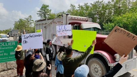 Protesters line highway in Florida Everglades to oppose 'Alligator Alcatraz'