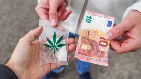 Nürnberger Kripo: So dramatisch wirkt die Cannabis-Legalisierung an Schulen