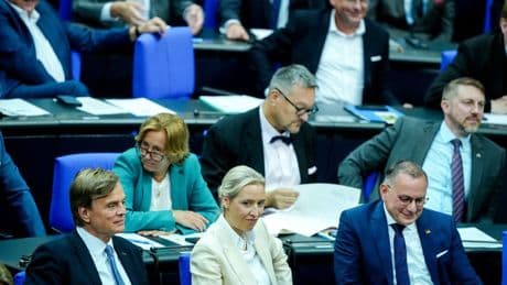 Allensbach-Umfrage: Mehrheit lehnt AfD-Verbot ab