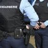 Ils vivaient dans des conditions épouvantables : une vingtaine d’animaux sauvés en Charente-Maritime