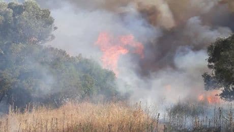 Violento incendio vicino dell'aeroporto di Olbia: ritardi e voli dirottati, cosa è successo