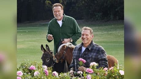 Schwarzenegger und Moeller - Zwei Action-Stars tierisch gut drauf