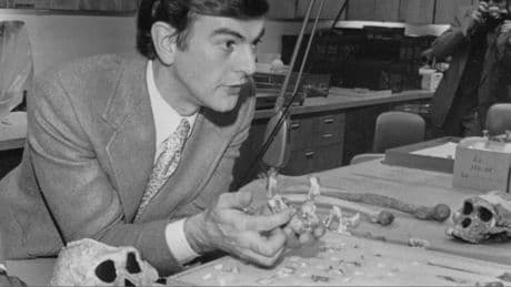 Premier voyage européen de l'australopithèque Lucy, bientôt exposée à Prague