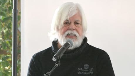 Paul Watson n'est plus recherché par Interpol: la notice rouge visant le militant écologiste levée