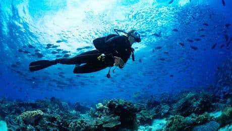Aqualung : deux prétendants pour relancer le fleuron français de la plongée sous-marine