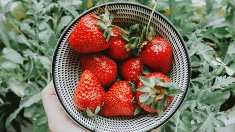 I Tried The 'Correct' Way To Eat Strawberries And I Regret To Inform You We're All Doing It Wrong