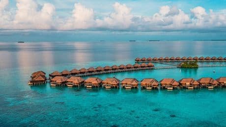 The luxury market is poised for a big slowdown, but there are some areas where people are still willing to splurge