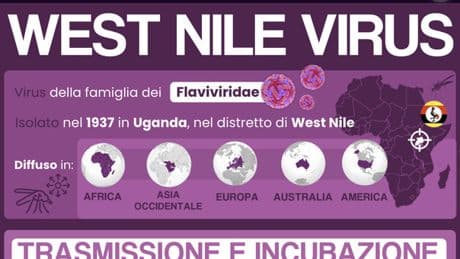 West Nile a Latina, 31enne in terapia intensiva. La sorella: «Siamo sconvolti, mio fratello è uno sportivo e non ha mai avuto problemi»