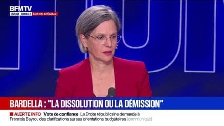 Démission d'Emmanuel Macron: "Nous sommes dans un moment de fin d'adhésion à un système libéral qui n'a plus de sens", affirme Sandrine Rousseau, députée Les Écologistes de Paris