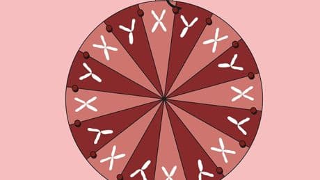 Medizin: Junge oder Mädchen?