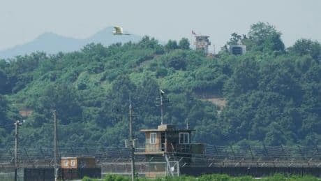South Korea's military says North Korea is removing speakers from their tense border