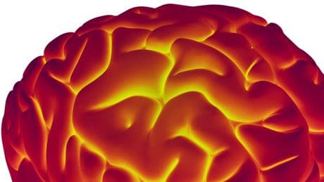 We Are At Acute Agency Decay Amid AI. 4 Ways To Preserve Your Brain
