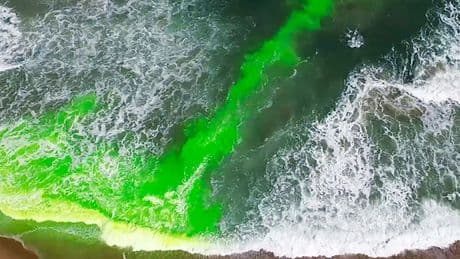 Rip Current Survival Tips: What to Do if You Get Caught in One