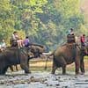 Tourist reveals the holiday experience they will 'regret until they die'