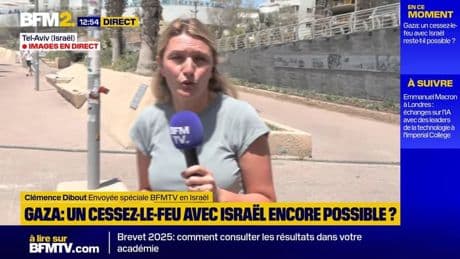Bande de Gaza: violences et scènes de chaos lors des distributions alimentaires
