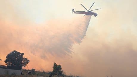 Parts of Athens evacuated after more than 50 wildfires in 24 hours