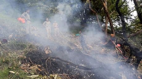Önce uçak şimdi helikopter! Hindistan'da katliam gibi bir kaza daha
