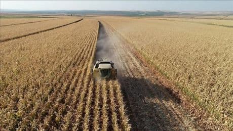 Tarım ÜFE temmuzda aylık bazda yüzde 5,66 azaldı