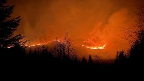 Feux de forêt : au Royaume-Uni, les surfaces brûlées atteignent un niveau record dès le printemps