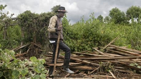 Kenya: les chasseurs-cueilleurs Ogiek expulsés de leurs forêts ancestrales