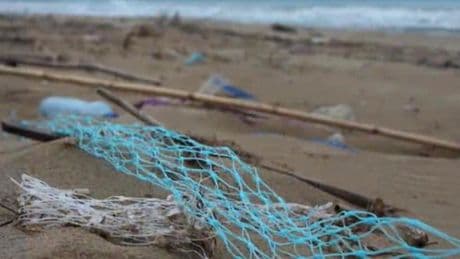 Lerici, alla sede dei mitilicoltori arriva l'impianto che ricicla le retine di plastica | Video