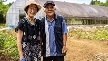 Japonya'dan 100'lük rekor: 99 bini aştı, en yaşlısı 114 yaşında!