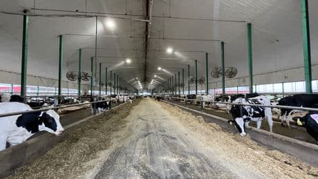 Quebec coroner warns of danger after couple dies from asphyxiation from manure gas on farm