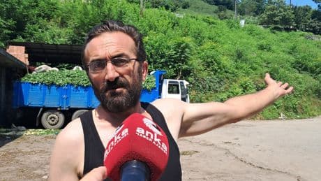 Çay üreticisi özel sektörün insafına kaldı: “Neredeyse bedavaya veriyoruz, para kazanamıyoruz"
