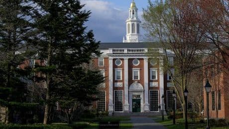 Streit mit Donald Trump: Harvard darf keine internationalen Studenten mehr aufnehmen