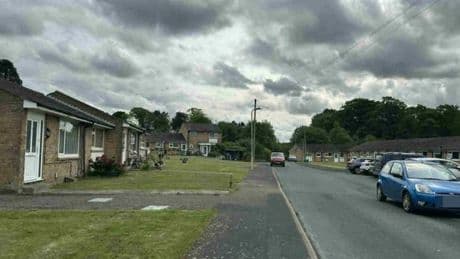 Pensioners were living out twilight years in peace until 'resident from hell' arrived