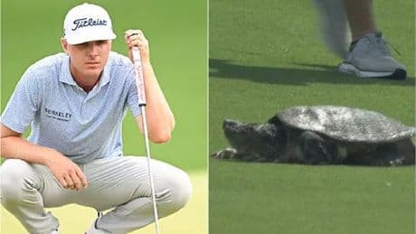 Ryan Gerard dodges feisty snapping turtle to shell his PGA rivals at Quail Hollow