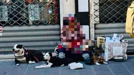 Presidio di animalisti per proteggere i cani di una coppia di clochard, interviene la polizia