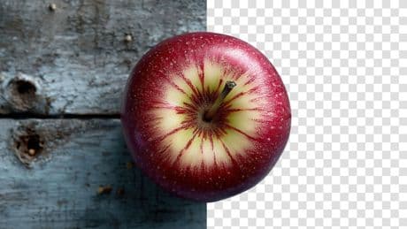 Hintergrund entfernen: Die besten Gratis-Tools zum Bilder freistellen