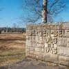 Eighty years on, survivors and families remember horrors of Bergen Belsen