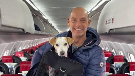 Los retos de viajar con perro: “En España aún no hay ningún destino 100% pet friendly”