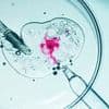 World's 'oldest baby' born from embryo frozen in 1994