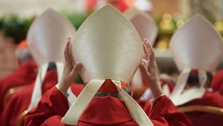 What's the geographic breakdown of the cardinals who will elect the new pope?