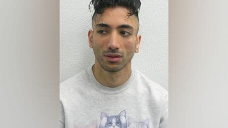 British paedophile charged over mock Disneyland wedding to child